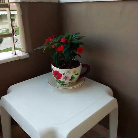 Дом отдыха Akanthous