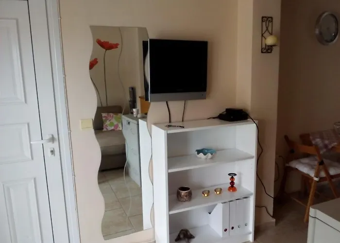 Tatil Evi Akanthous